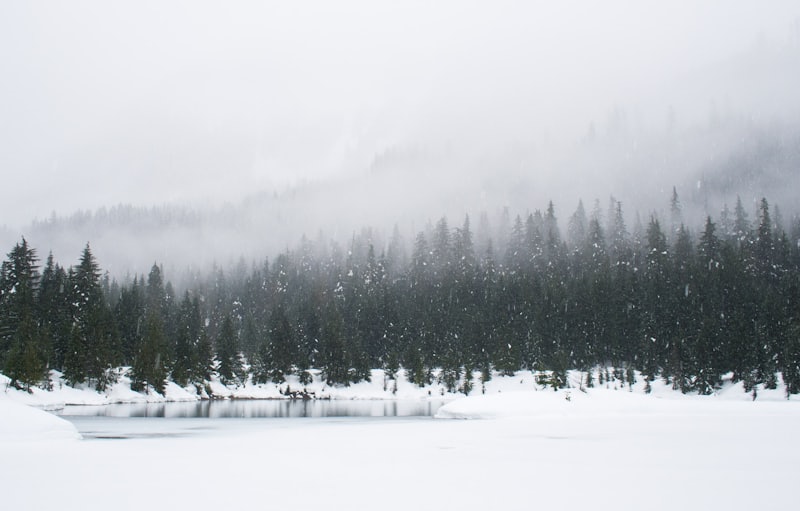 Gulmarg ski tour